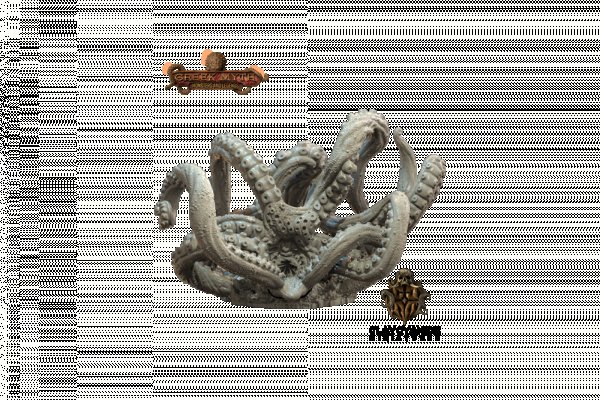 Kraken 20at net