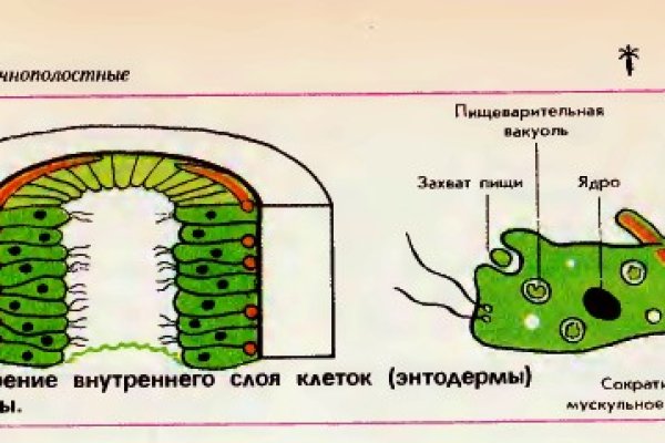Кракен ссылка новая