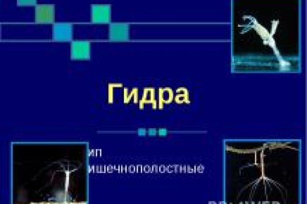 Кракен актуальные