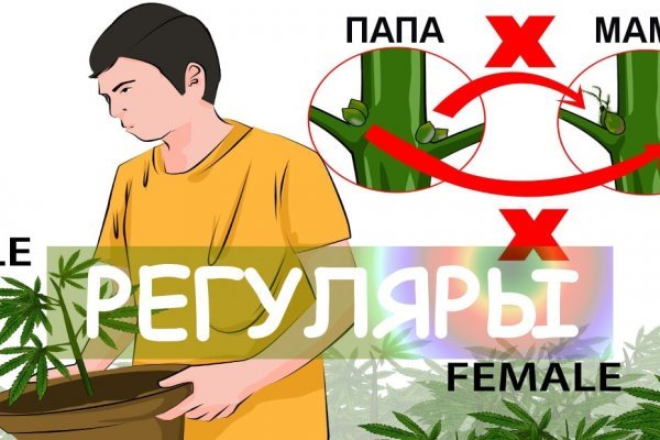 Аутентификатор кракен