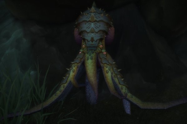Kraken forum