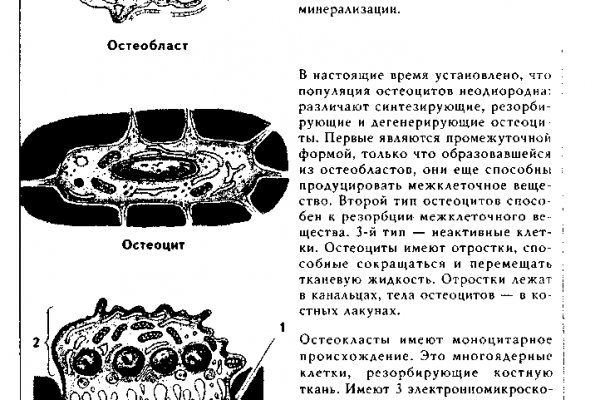 Ссылка на кракен официальный