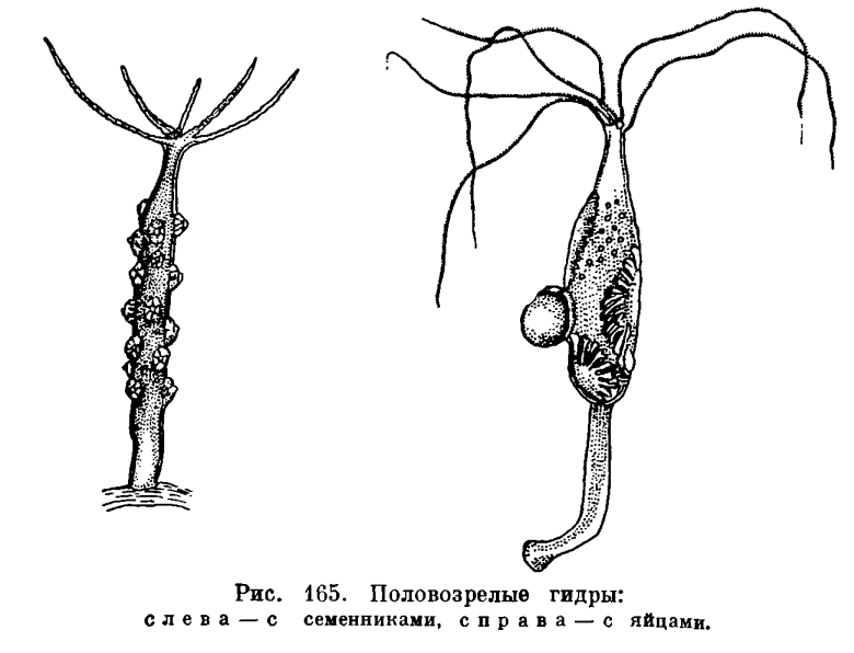 Кракен даркнет регистрация